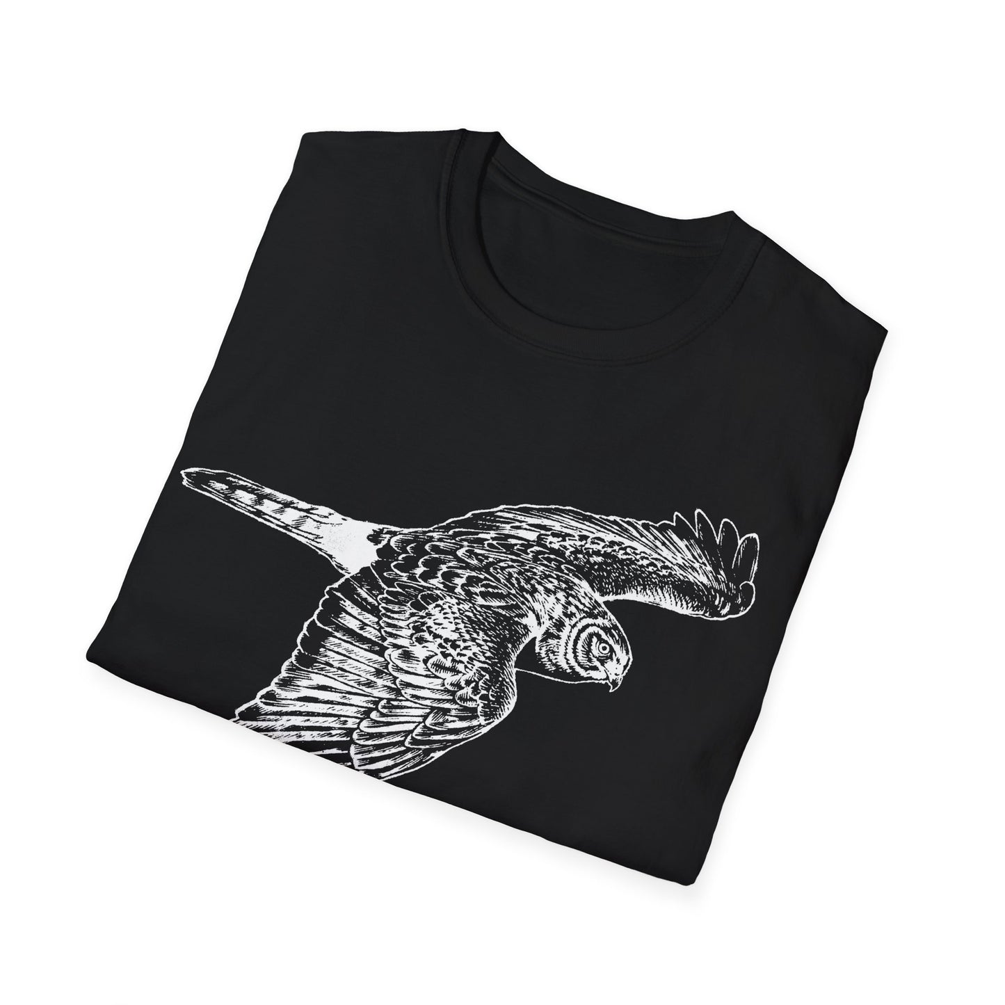 Northern Harrier: The Gray Ghost