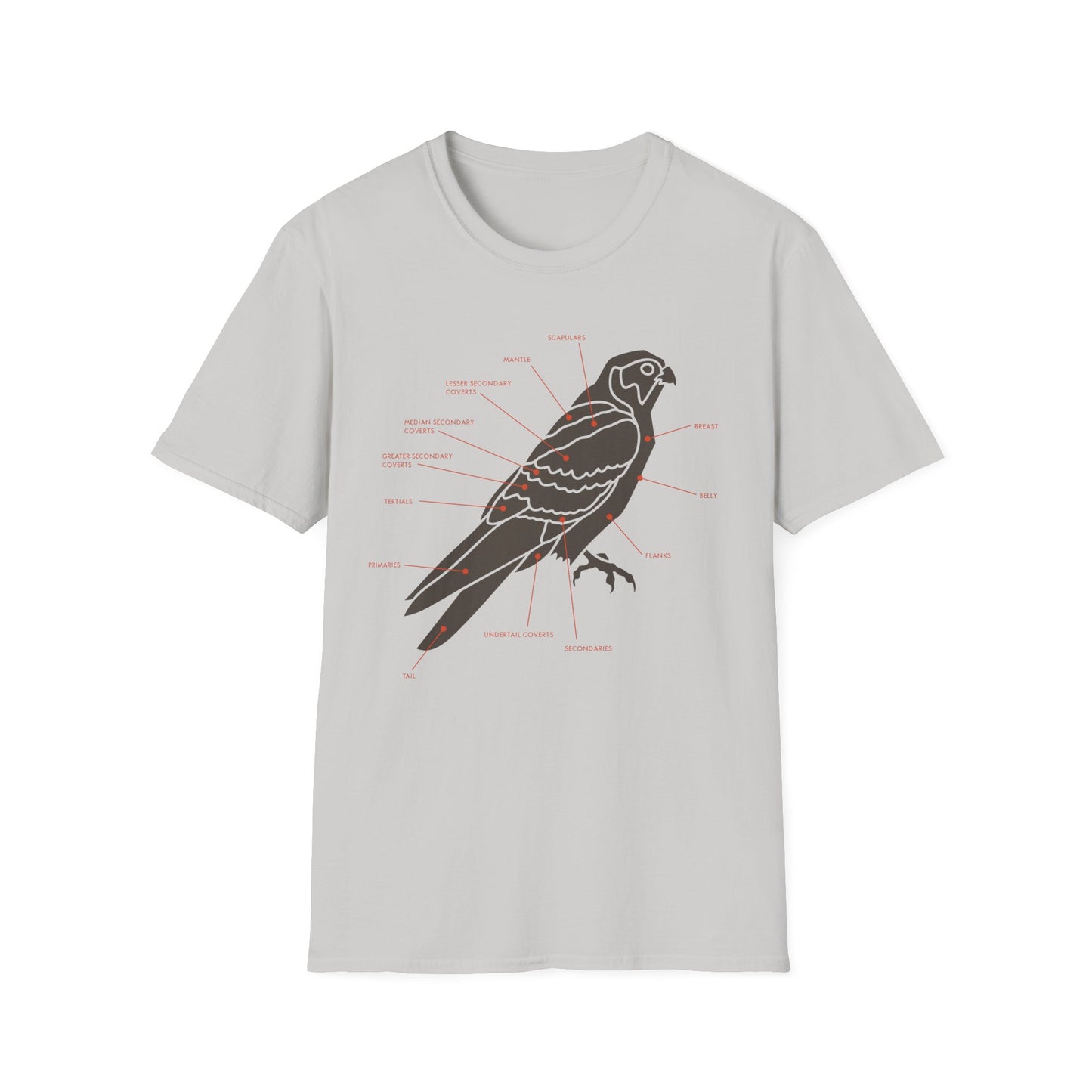 Plumage Anatomy - Falcon | Light Shirt