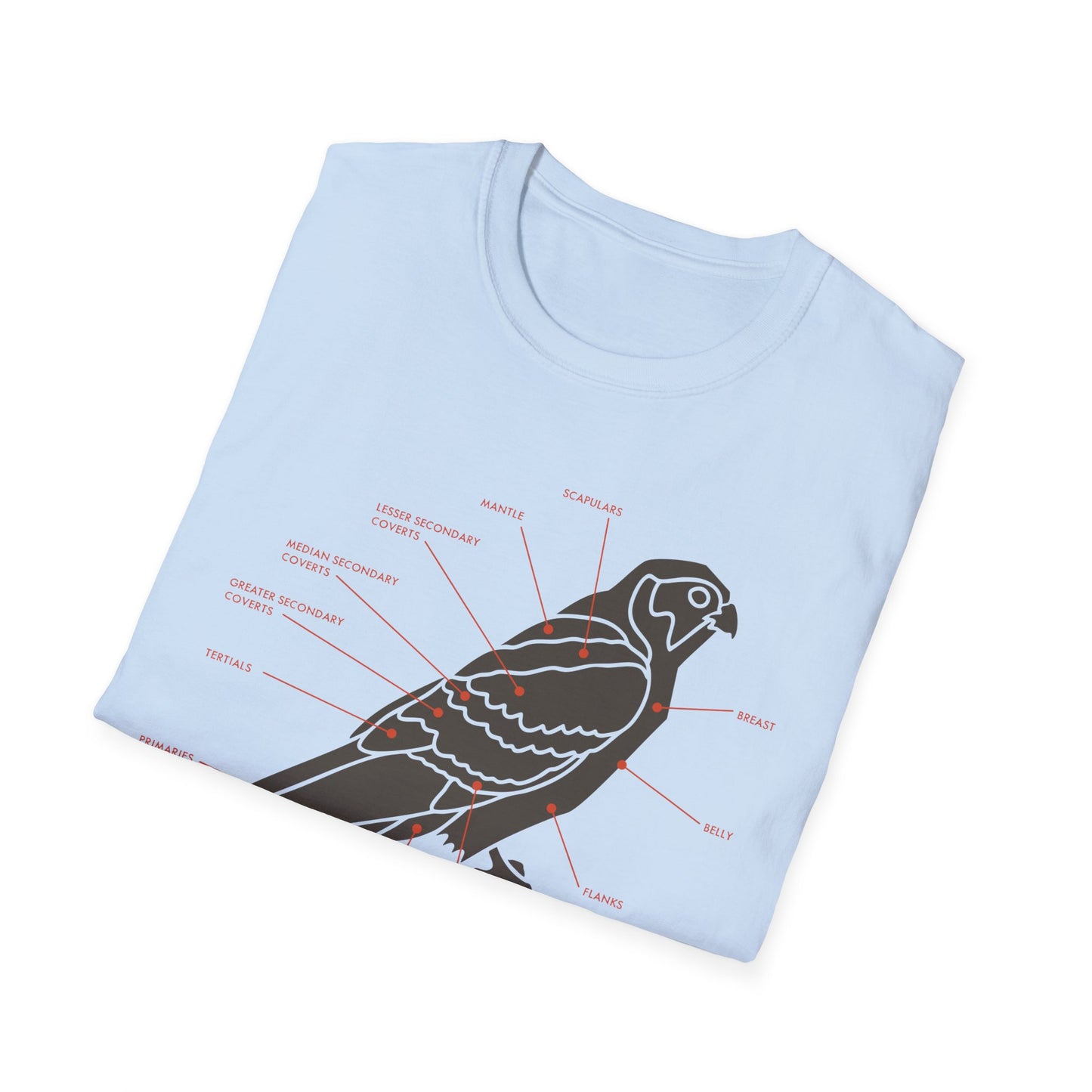 Plumage Anatomy - Falcon | Light Shirt