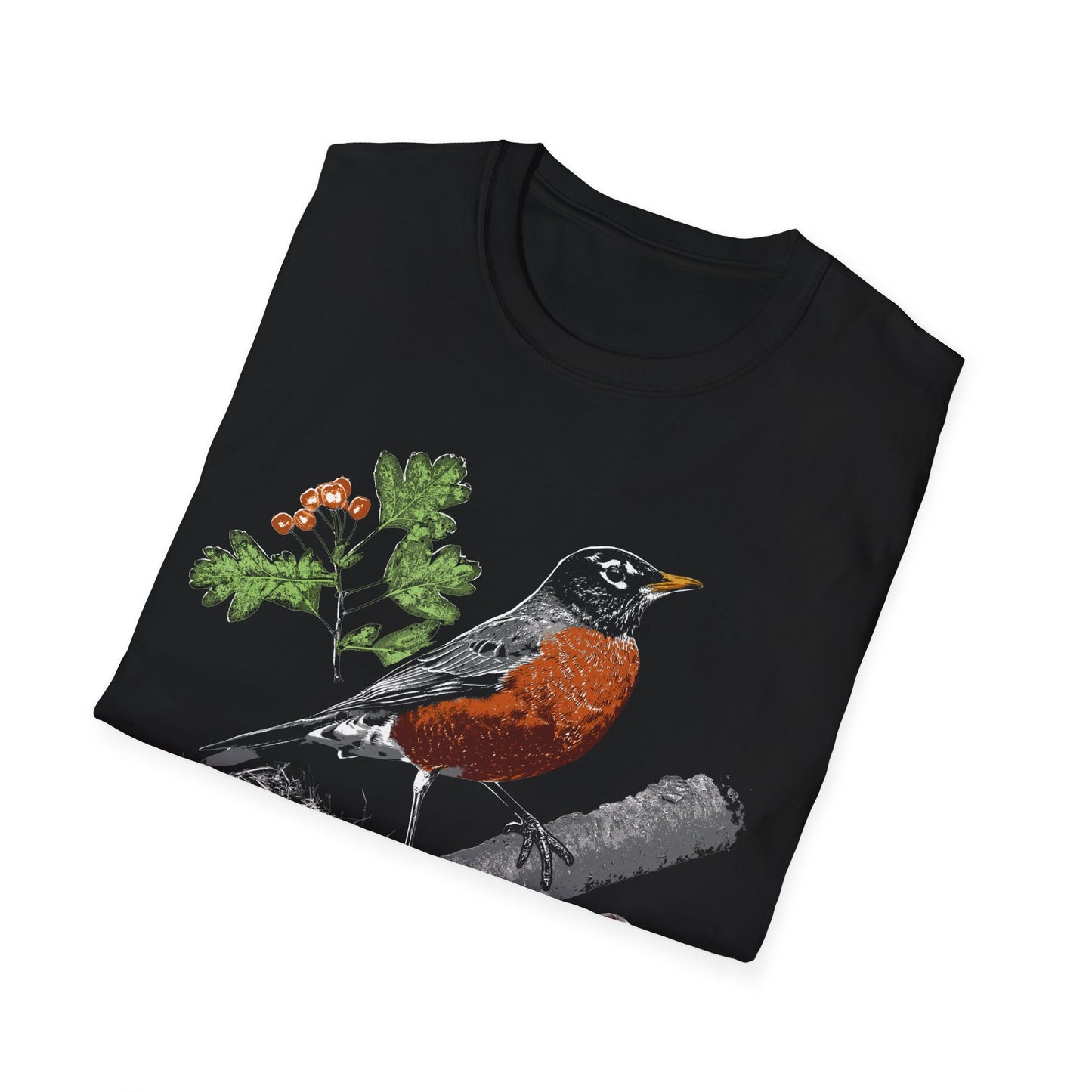 American Robin