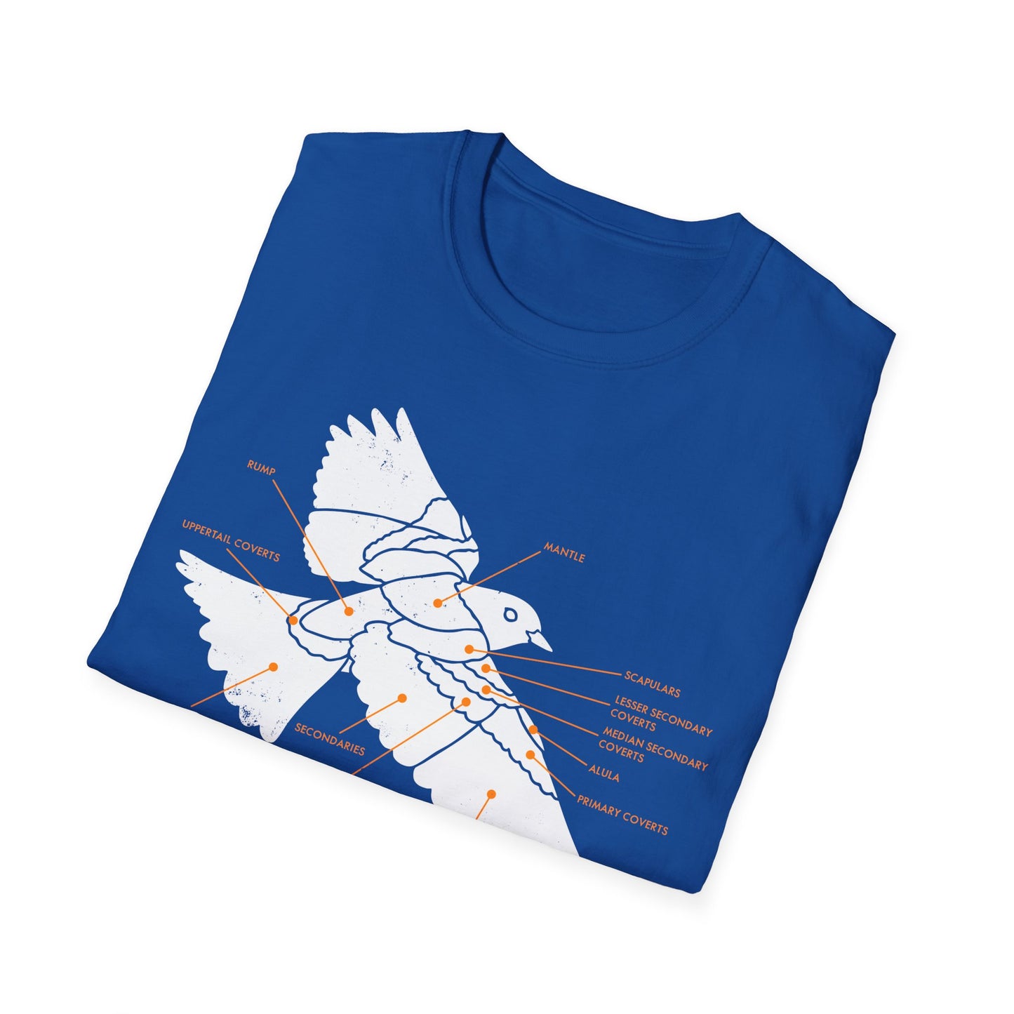 Plumage Anatomy - Songbird | Dark Shirt