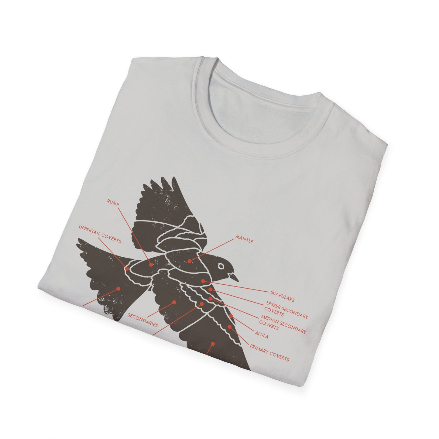 Plumage Anatomy - Songbird | Light Shirt