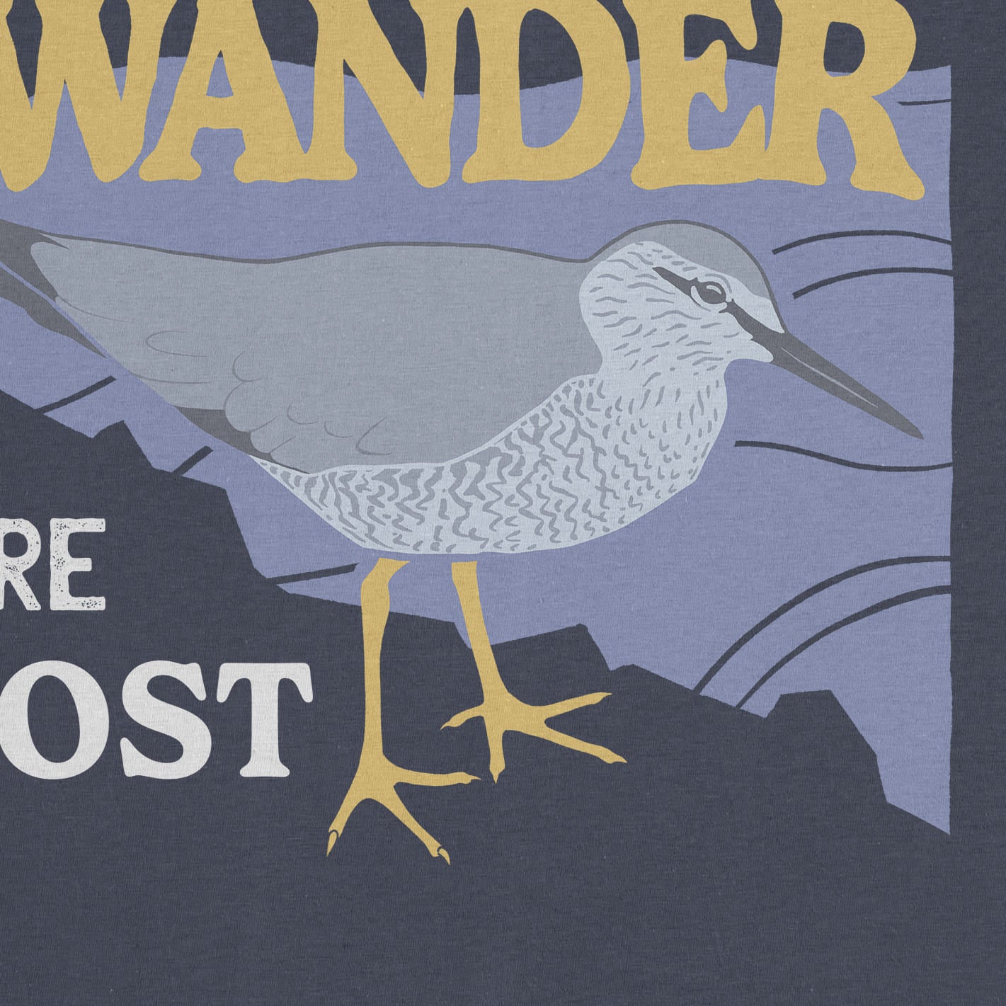 Wandering Tattler