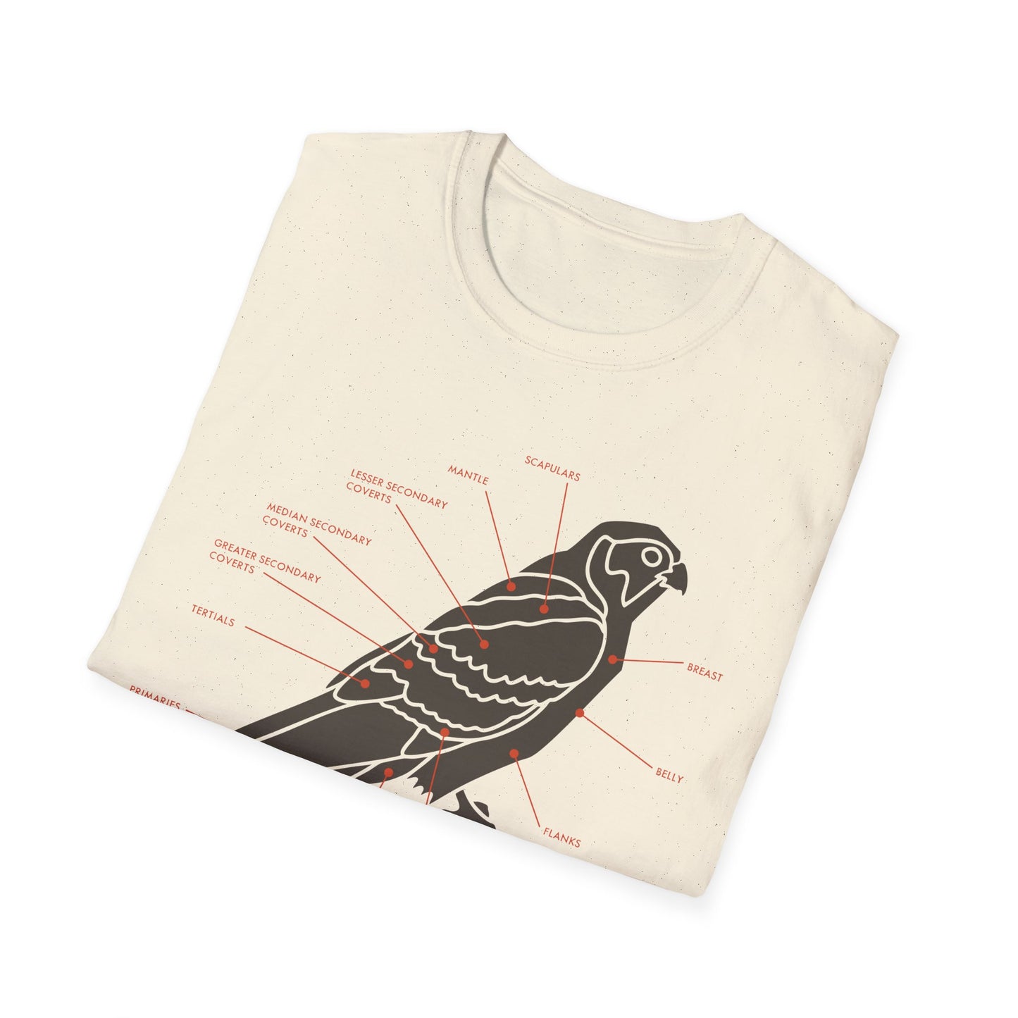 Plumage Anatomy - Falcon | Light Shirt