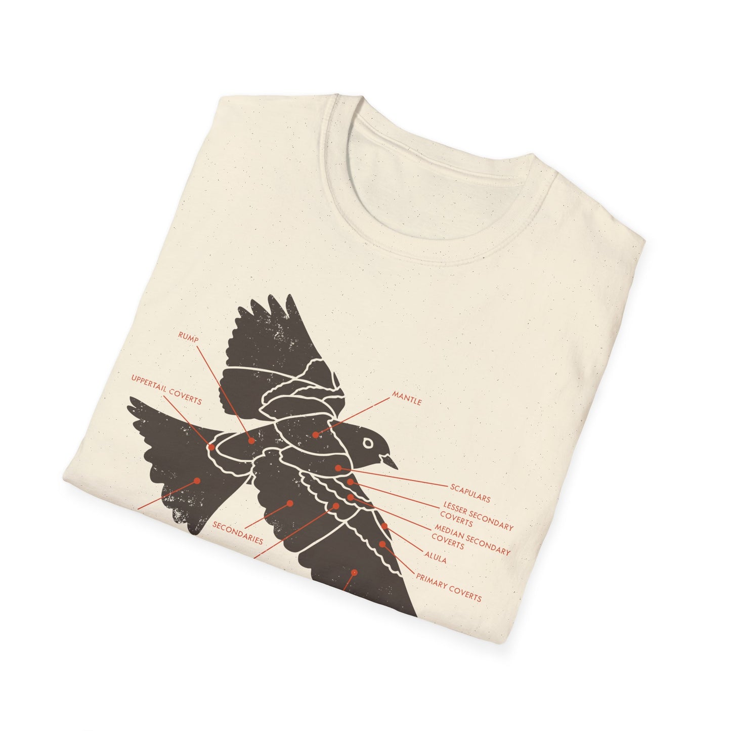 Plumage Anatomy - Songbird | Light Shirt