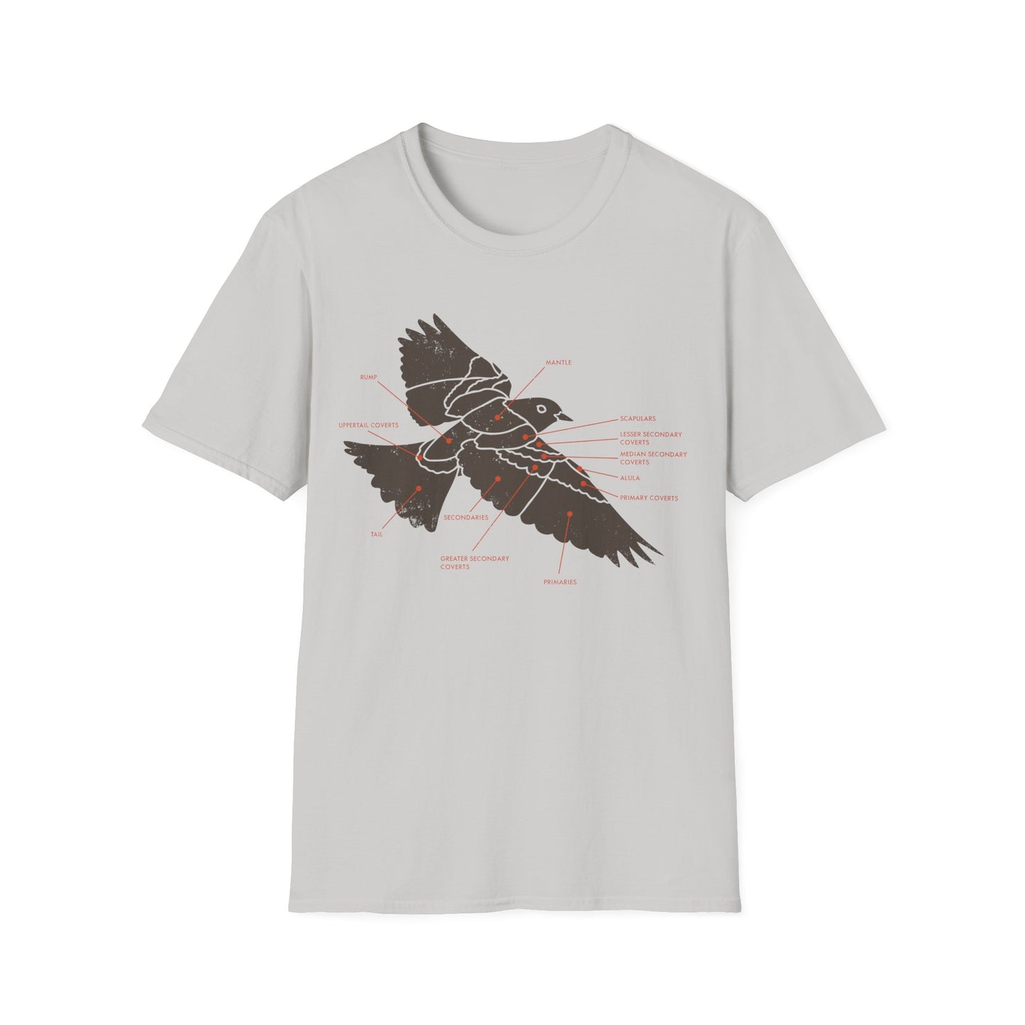 Plumage Anatomy - Songbird | Light Shirt
