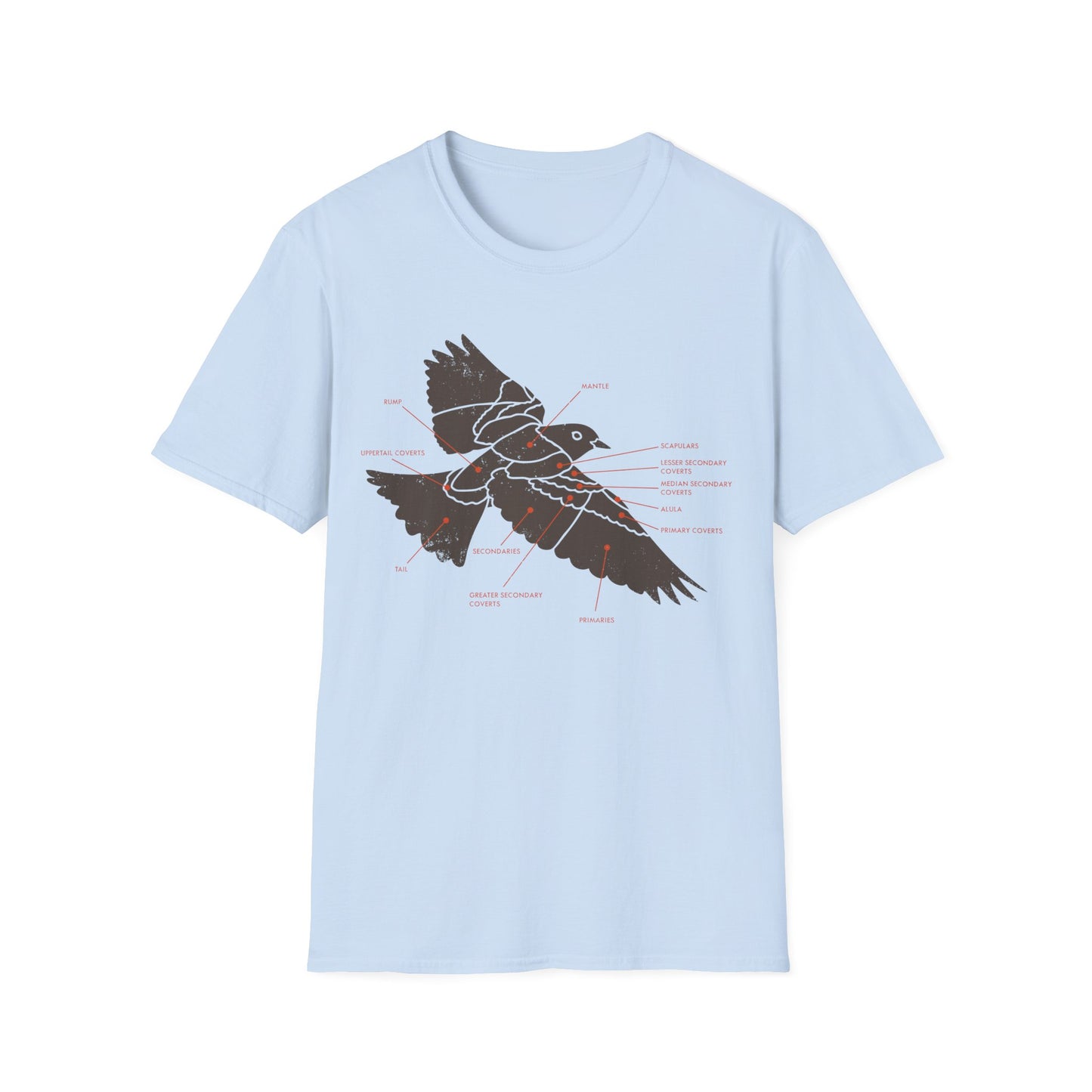Plumage Anatomy - Songbird | Light Shirt