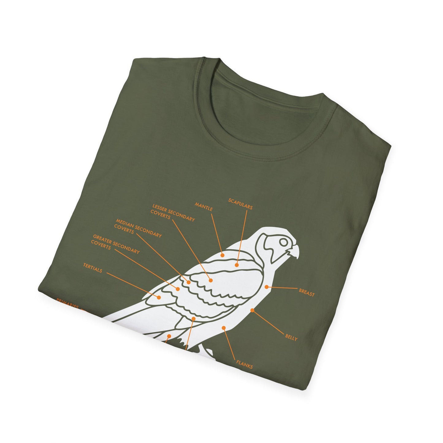 Plumage Anatomy - Falcon | Dark Shirt