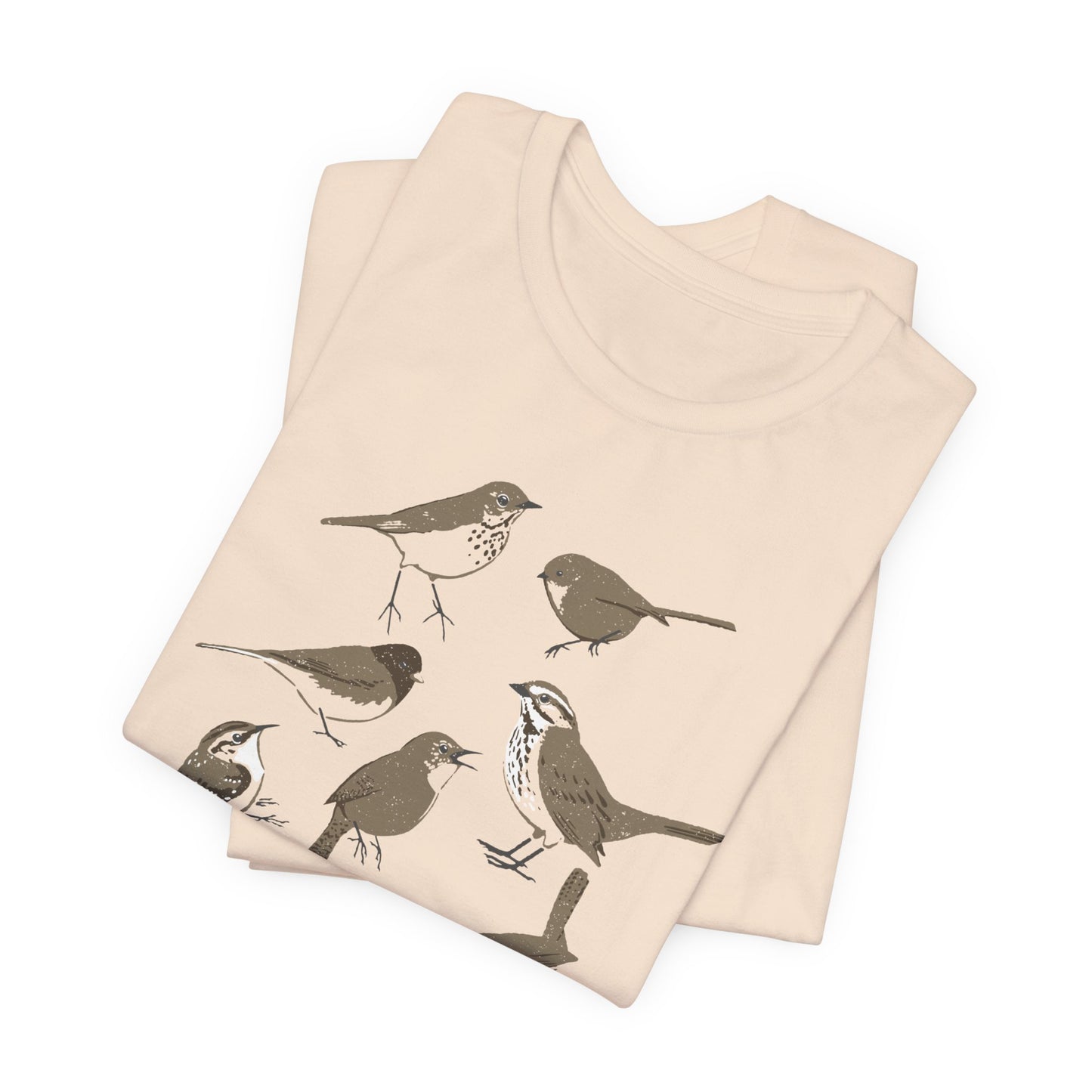 Little Brown Birds (LBBs)