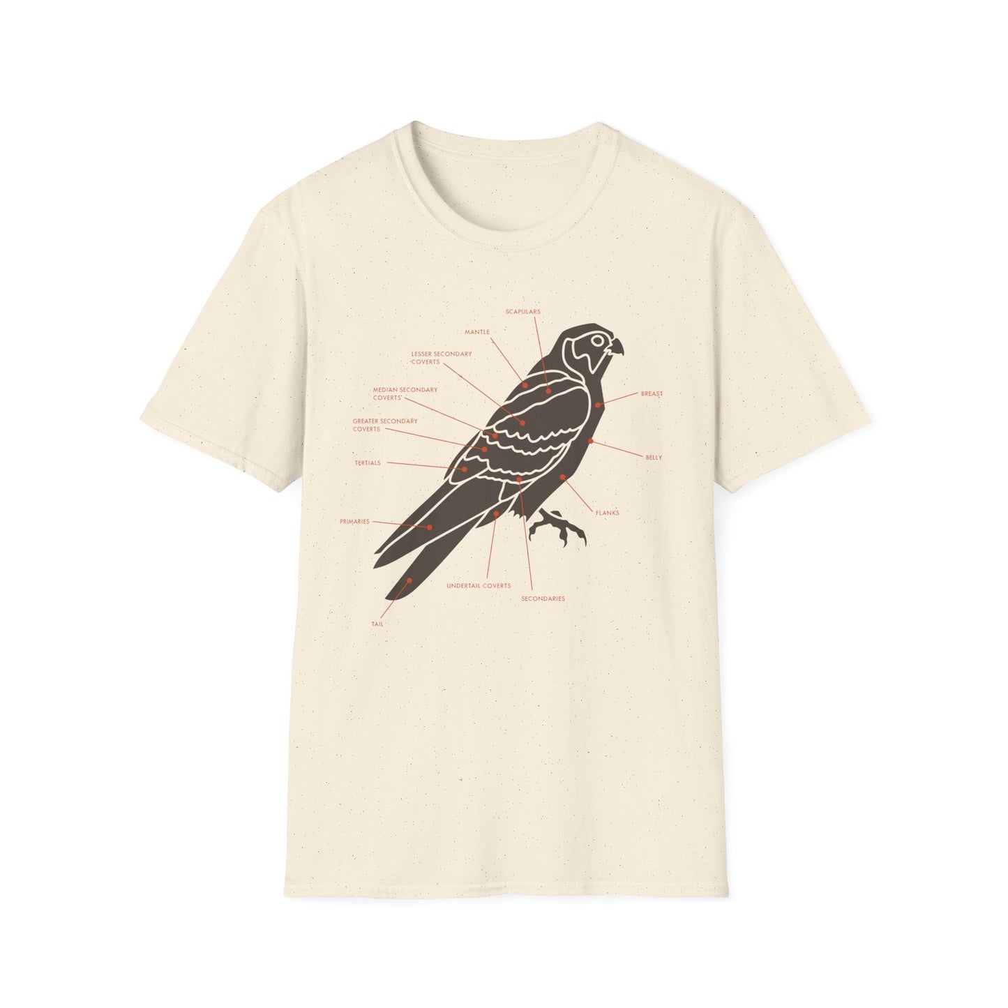 Plumage Anatomy - Falcon | Light Shirt