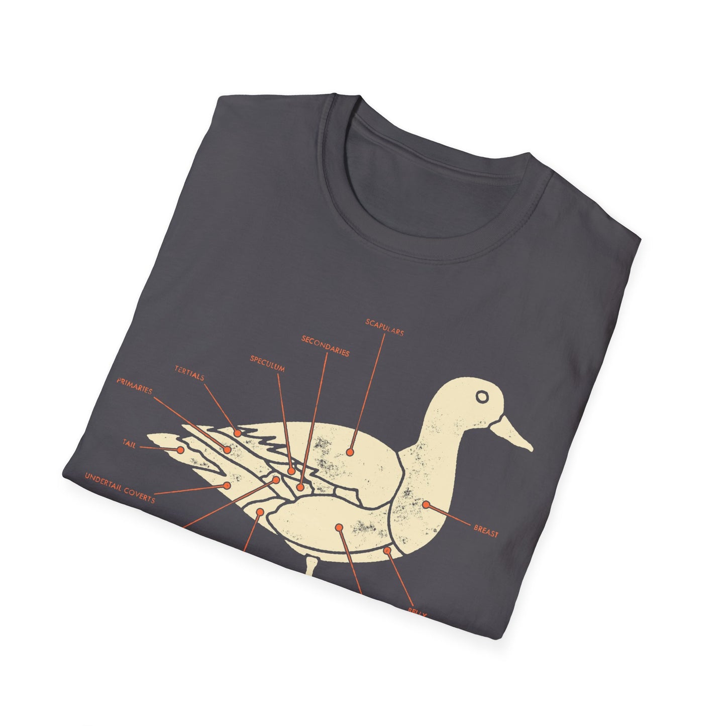 Plumage Anatomy - Duck