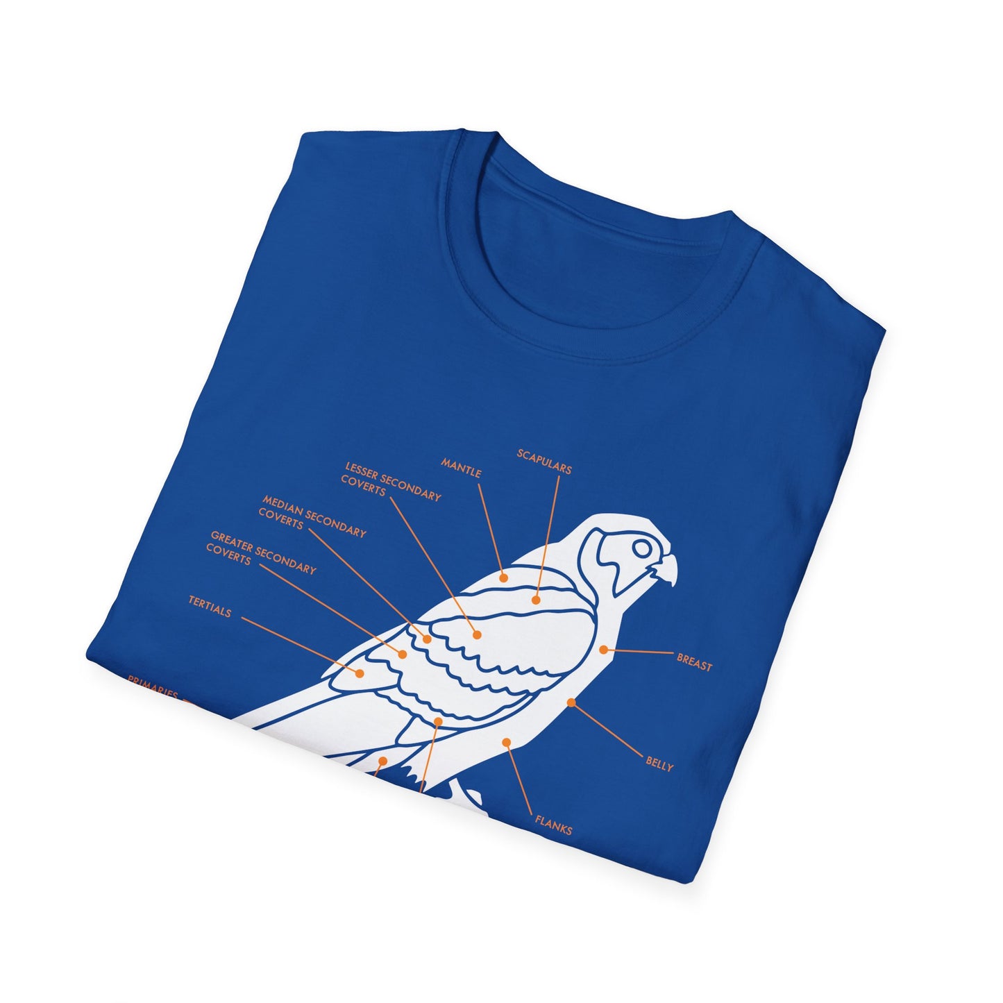 Plumage Anatomy - Falcon | Dark Shirt