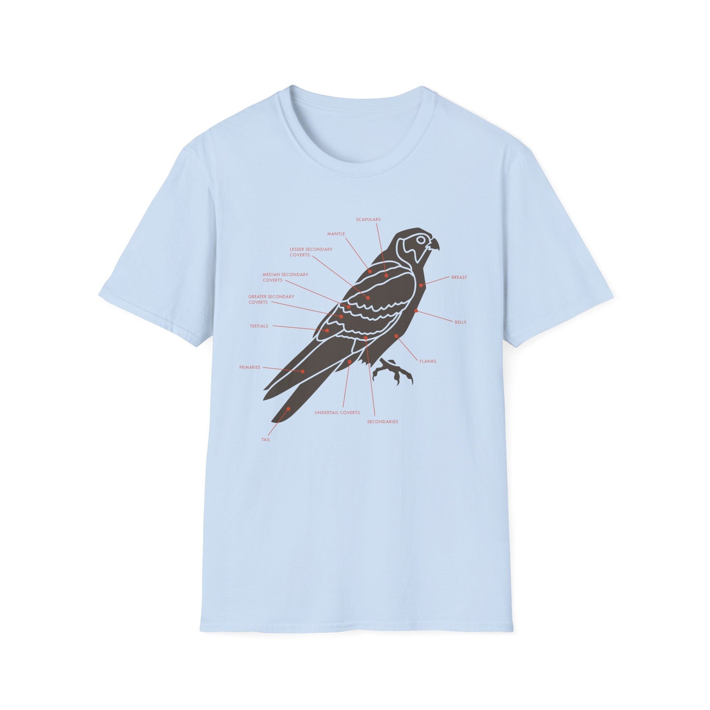 Plumage Anatomy - Falcon | Light Shirt