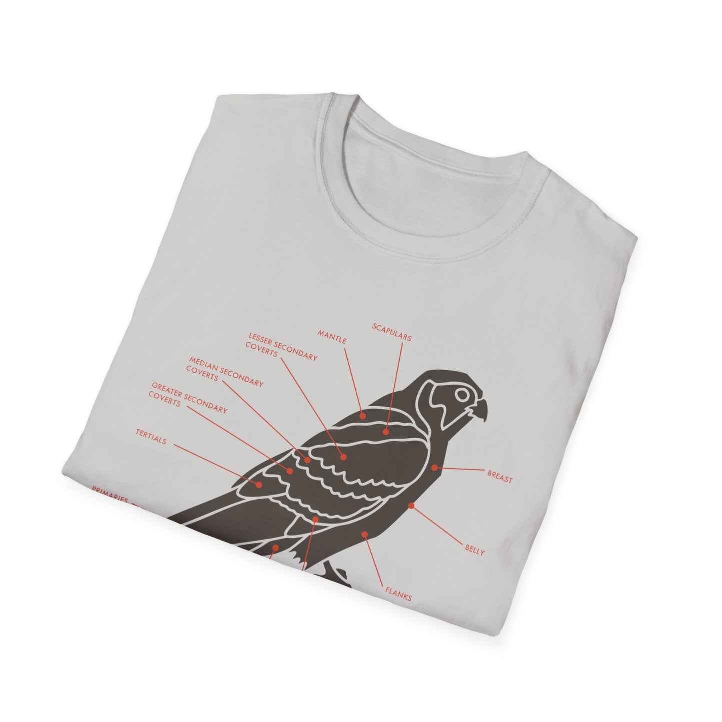 Plumage Anatomy - Falcon | Light Shirt