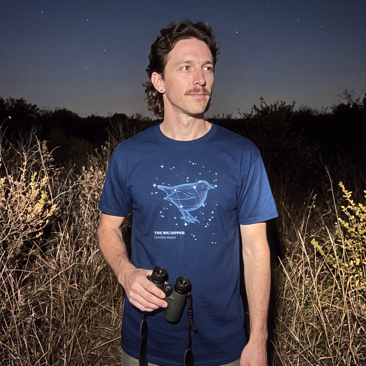 The Big Dipper Constellation