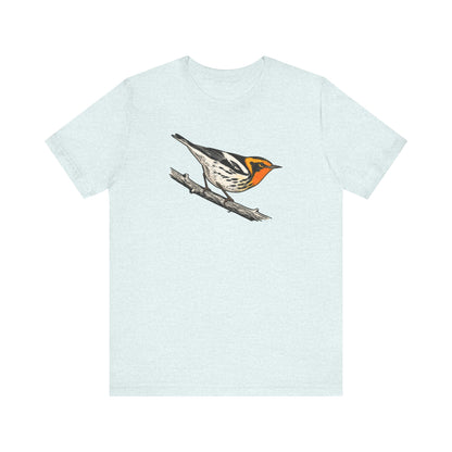 Blackburnian Warbler