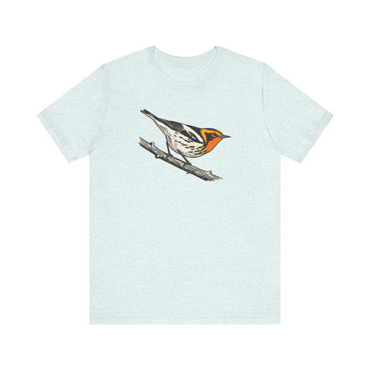Blackburnian Warbler