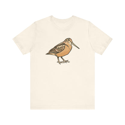 American Woodcock