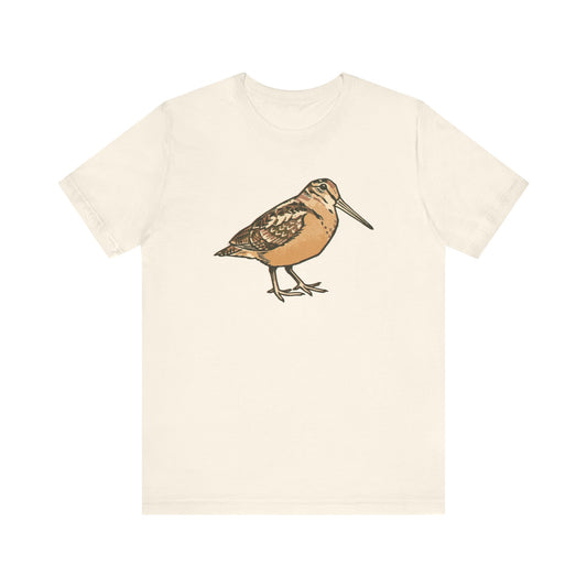American Woodcock