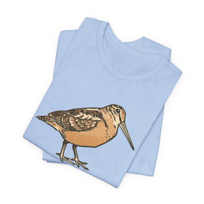 American Woodcock
