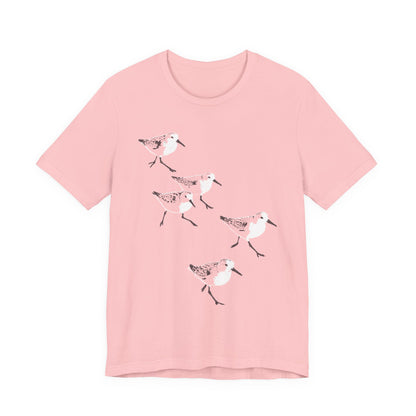 Sanderlings