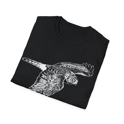 Northern Harrier: The Gray Ghost