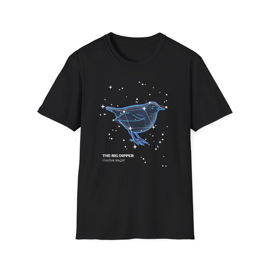 The Big Dipper Constellation