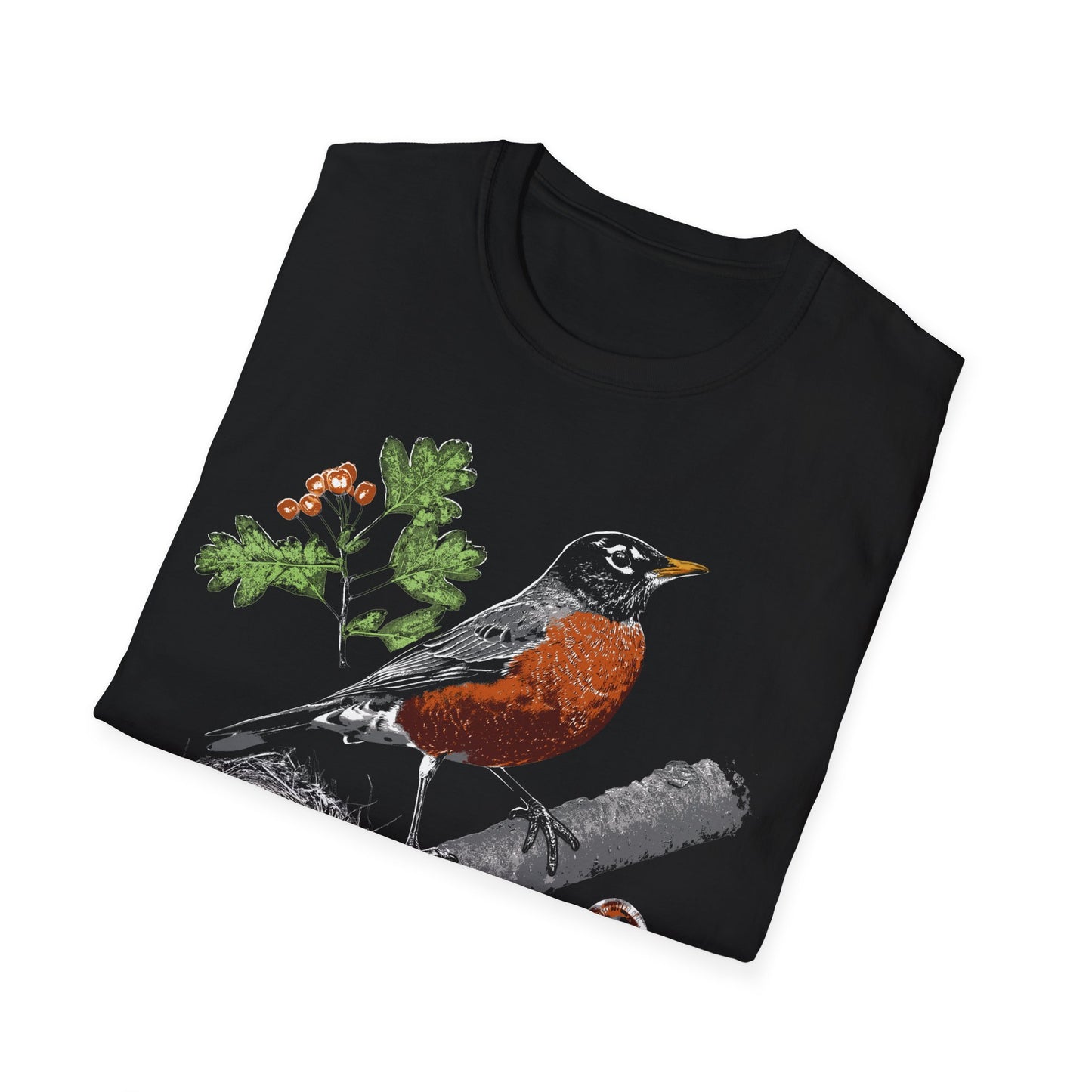 American Robin