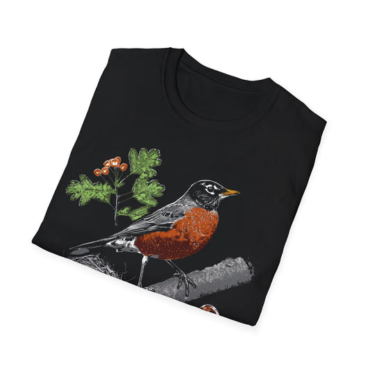 American Robin