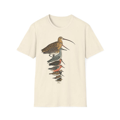 Sandpipers of America