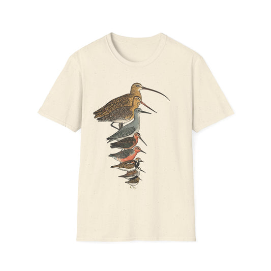 Sandpipers of America