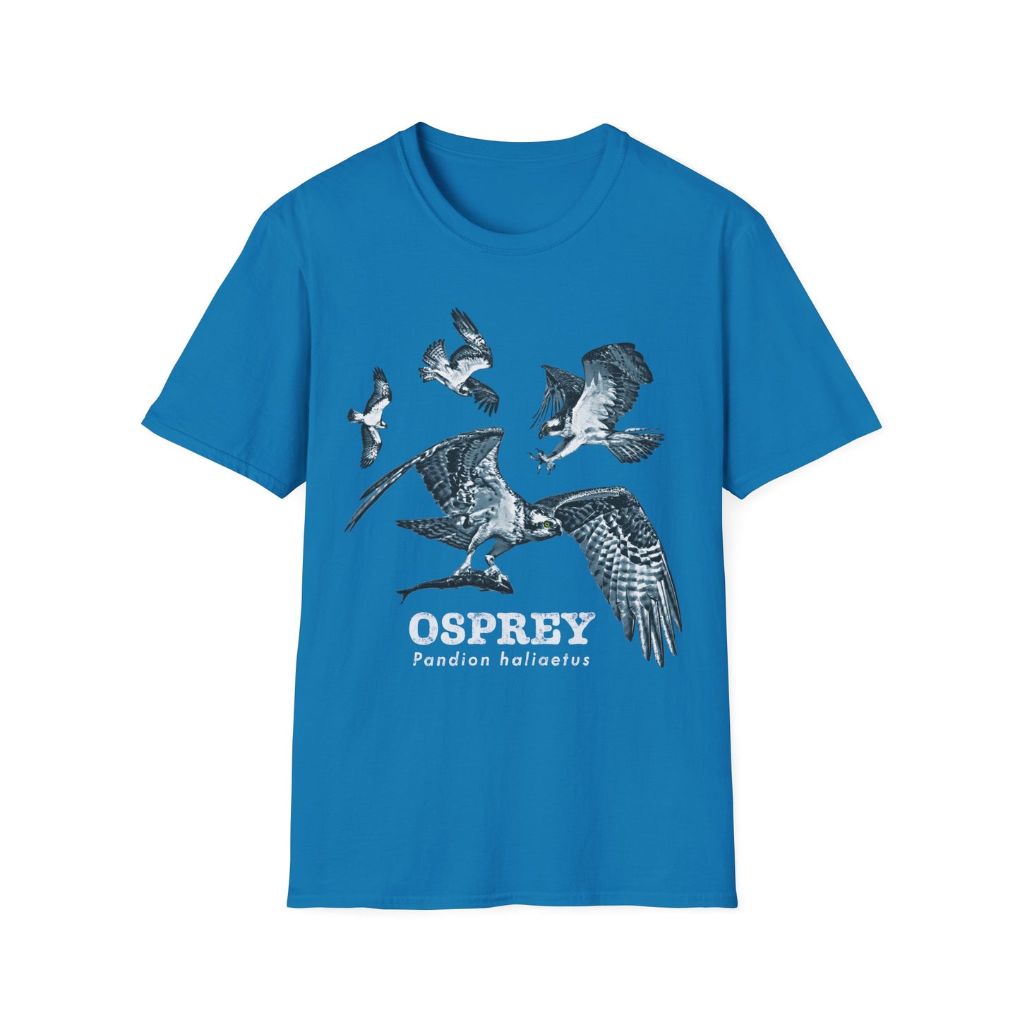 Osprey