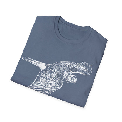 Northern Harrier: The Gray Ghost