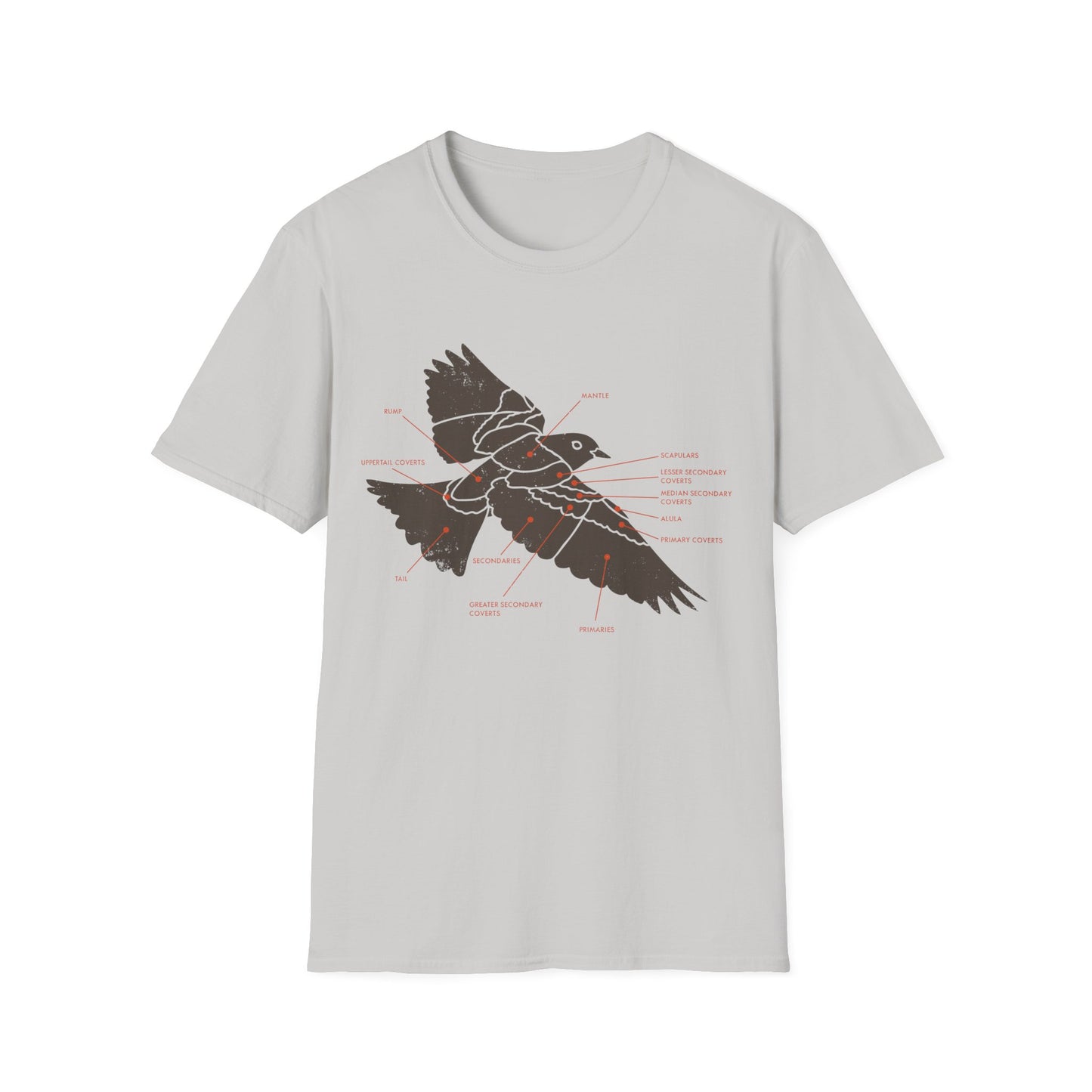 Plumage Anatomy - Songbird | Light Shirt