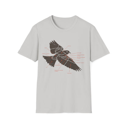 Plumage Anatomy - Songbird | Light Shirt