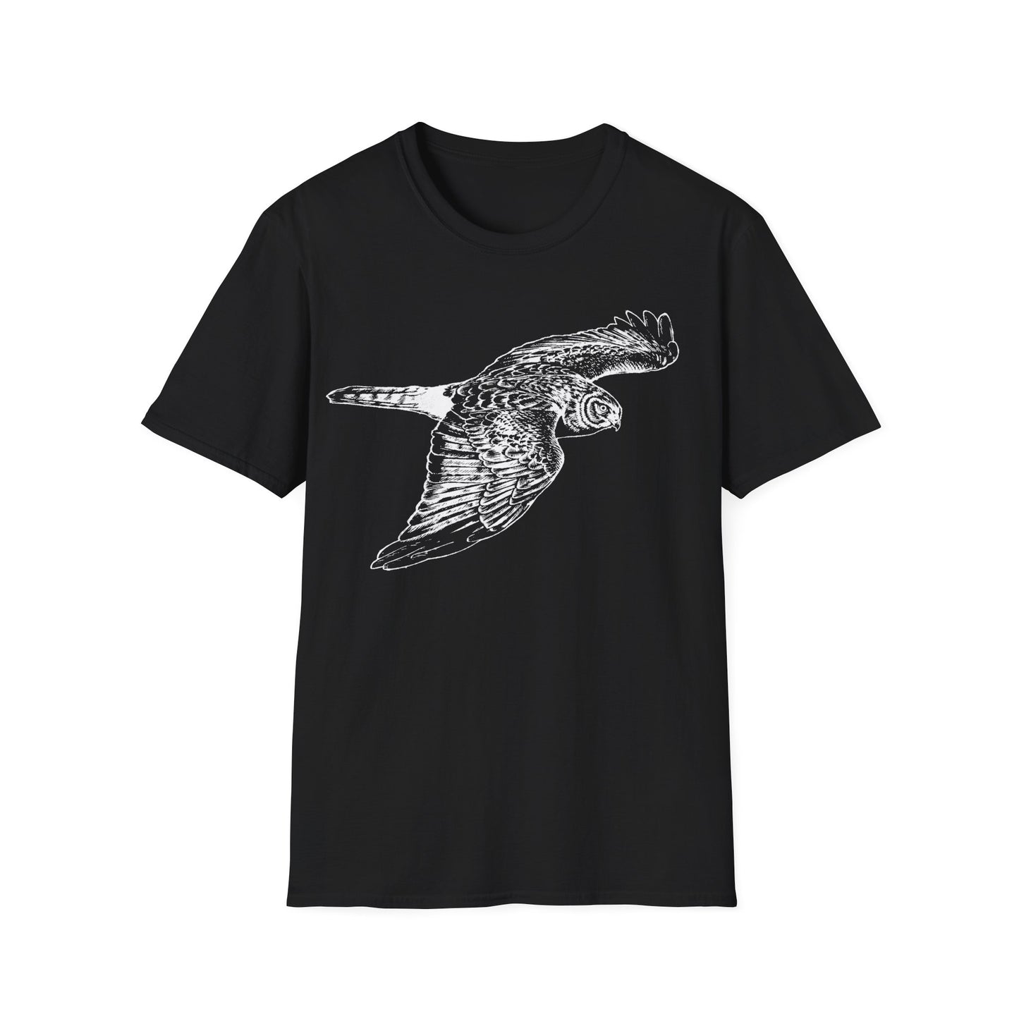 Northern Harrier: The Gray Ghost