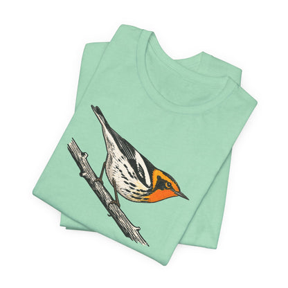 Blackburnian Warbler