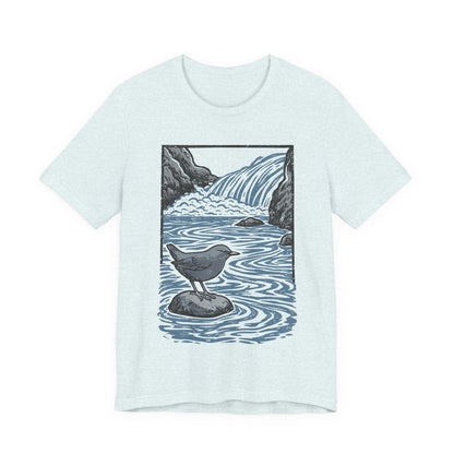 American Dipper