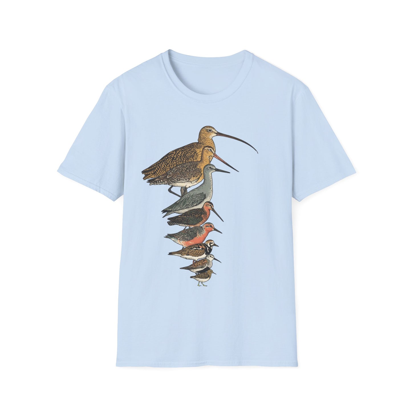 Sandpipers of America