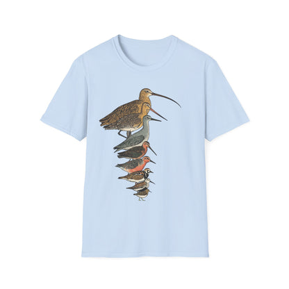 Sandpipers of America