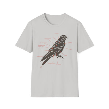 Plumage Anatomy - Falcon | Light Shirt