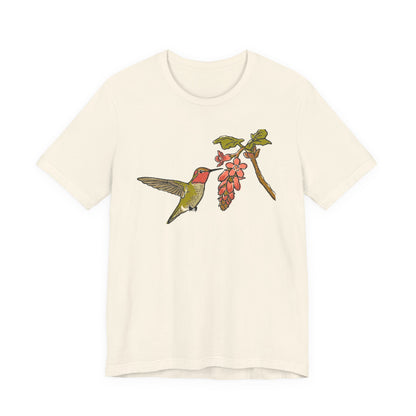 Anna's Hummingbird