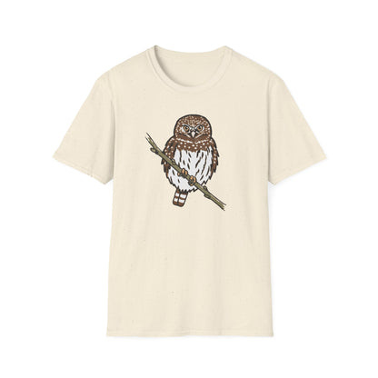 Northern Pygmy-Owl