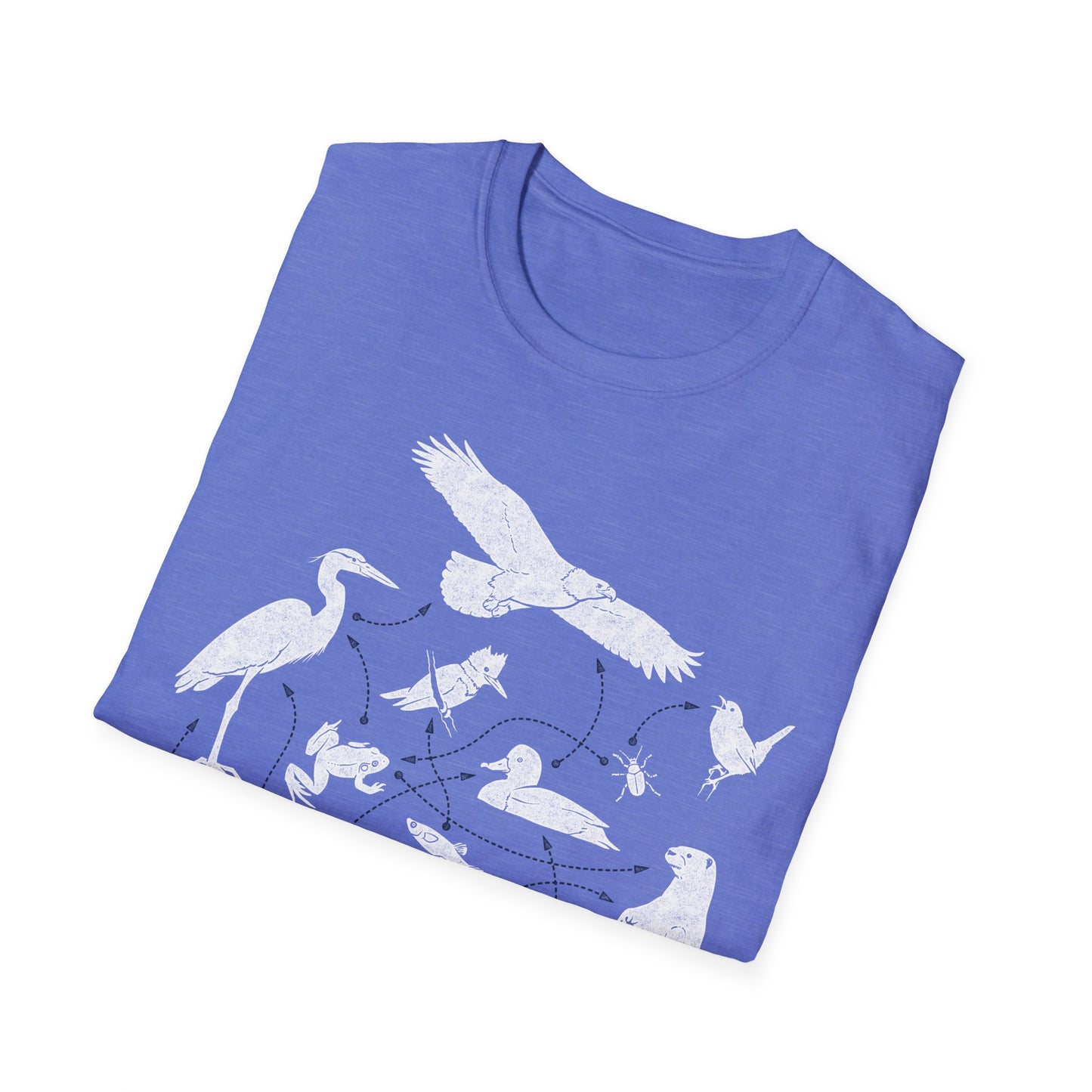 Wetland Food Web
