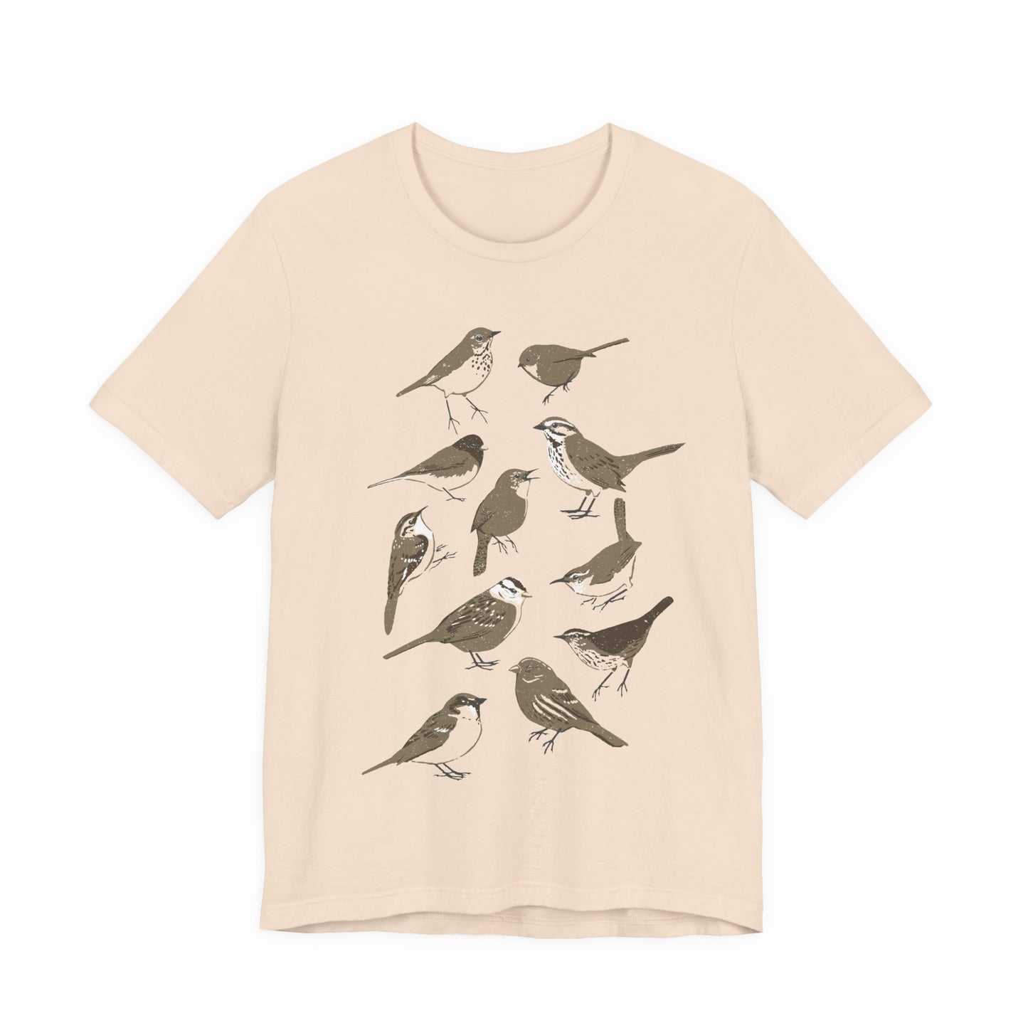 Little Brown Birds (LBBs)