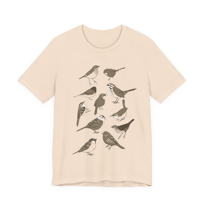 Little Brown Birds (LBBs)