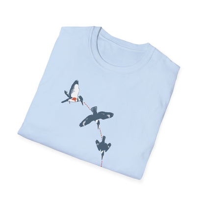 Belted Kingfisher Dive