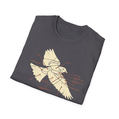 Plumage Anatomy - Songbird