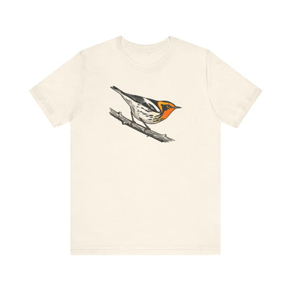 Blackburnian Warbler