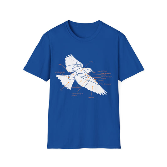Plumage Anatomy - Songbird | Dark Shirt